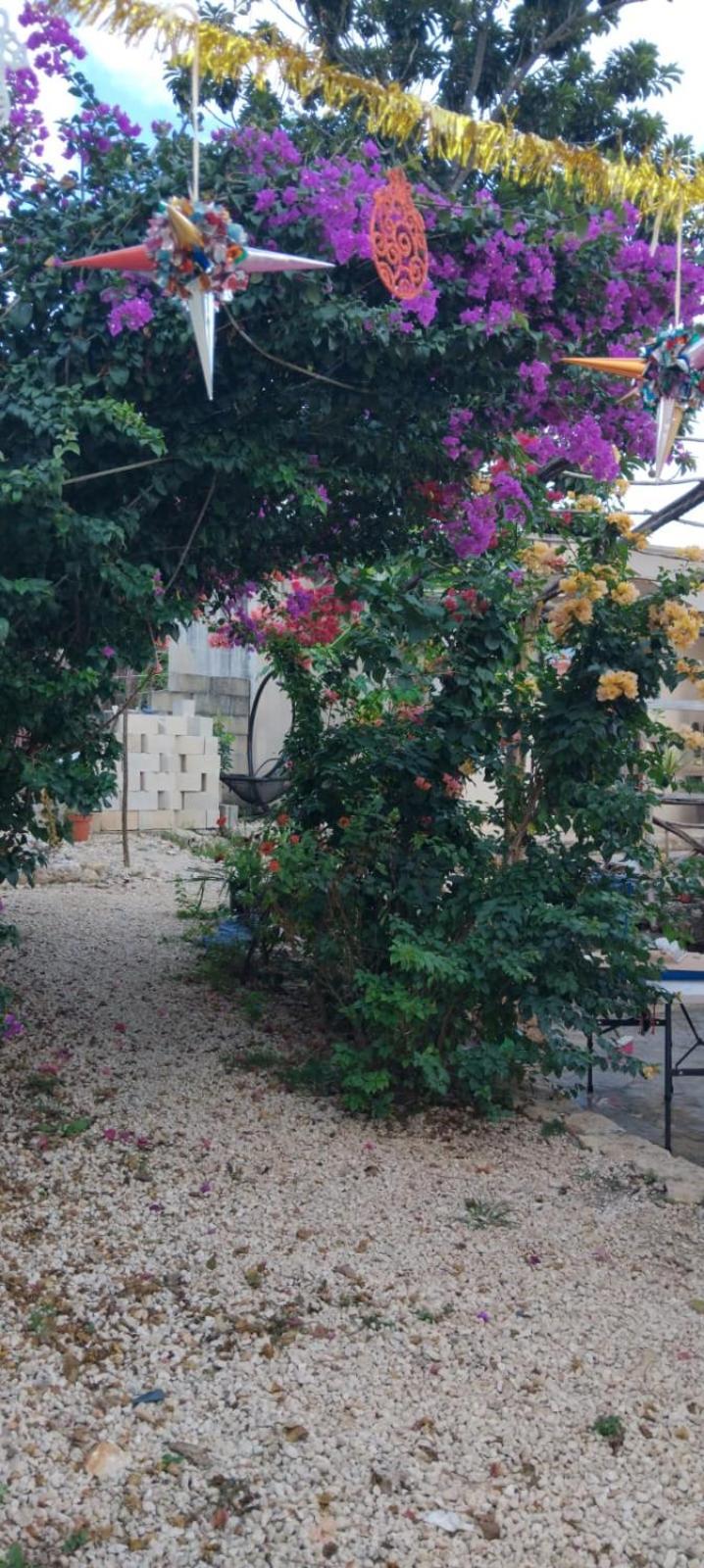 Casa Los Jarochos Valladolid  Esterno foto